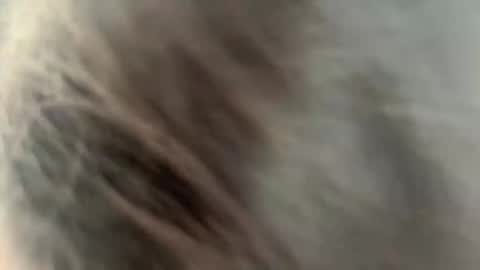 Snapshot of rickistegemann chatting on February 27, 2:22 am Ammy here its my first stream here online show from February 27, 2:22 am