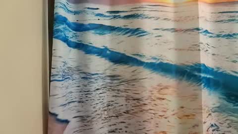 Snapshot of ridiculousness00 chatting on January 9, 11:34 pm bwc daddy online show from January 9, 11:34 pm