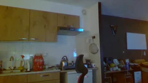 rikkerd55 online show from January 5, 5:27 pm