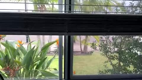 Snapshot of riskyshowoff chatting on March 5, 3:29 am House to myself boss me around online show from March 5, 3:29 am