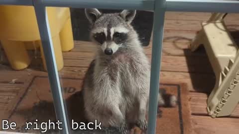 Ryan aka KeylimeRy online show from December 4, 7:33 pm