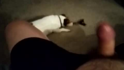 Snapshot of robbiebob6828 chatting on November 27, 6:04 am robbiebob6828 online show from November 27, 6:04 am