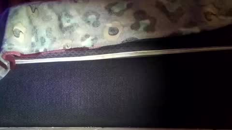 Snapshot of robert227818 chatting on November 8, 6:13 am robert227818 online show from November 8, 6:13 am