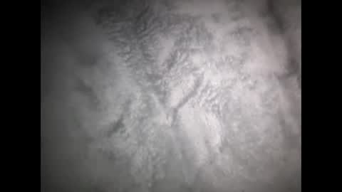 robertsaiz4200 online show from March 15, 8:31 am