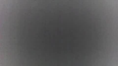 roberttocumcum online show from February 19, 9:11 pm