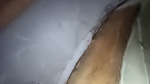 R online show from October 1, 4:29 am