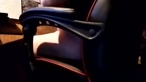 Snapshot of robonuts2004 chatting on November 20, 6:35 am Robo Nuts online show from November 20, 6:35 am