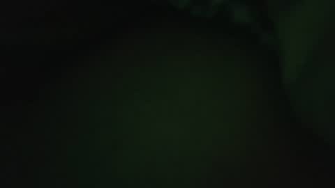 Snapshot of rocce4147 chatting on August 7, 4:58 am rocce4147 online show from August 7, 4:58 am