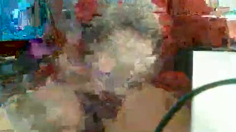 Rocco  aka DaddyRoc online show from February 11, 11:48 am