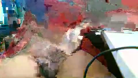 Rocco  aka DaddyRoc online show from March 1, 1:13 pm