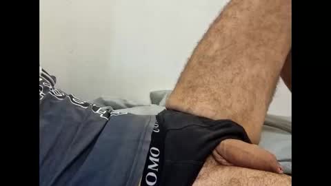 rollino83 online show from November 11, 7:47 pm