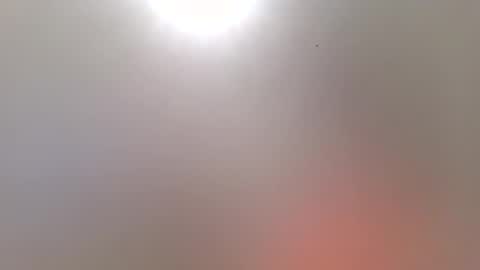 Trinked online show from November 17, 10:21 am