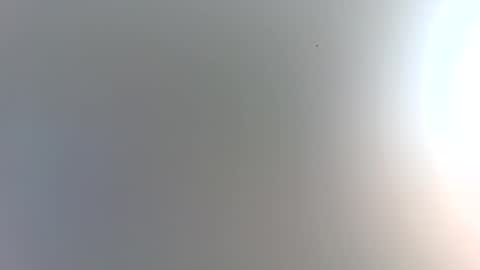 Trinked online show from January 9, 2:36 am