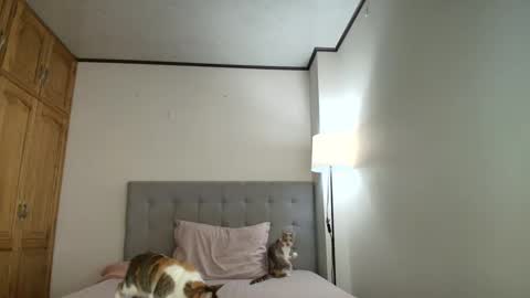 Snapshot of rosasanta8009 chatting on October 19, 8:31 pm I am Rosa online show from October 19, 8:31 pm