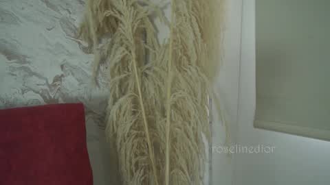 Lyla OF roselinedior online show from December 1, 1:38 pm