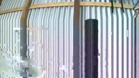 rosia online show from January 10, 8:05 am