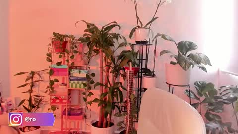 Snapshot of rossth11 chatting on October 24, 7:43 pm Im Ross online show from October 24, 7:43 pm