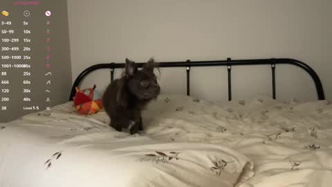 Snapshot of rottenlullaby chatting on October 23, 6:06 pm - my telegram channel online show from October 23, 6:06 pm