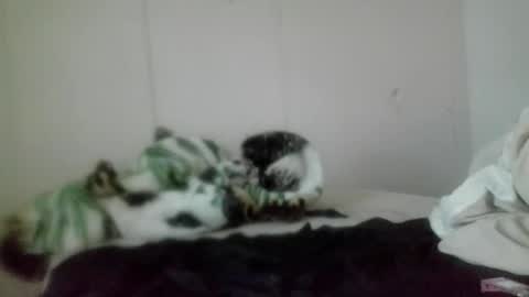 Roxy and Brock online show from November 5, 7:36 pm