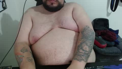 Bear online show from February 4, 4:07 am