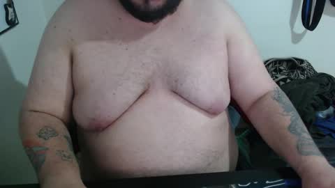 Bear online show from February 5, 3:33 am