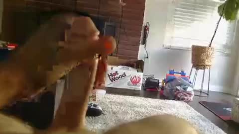 ryanbobby88 online show from September 25, 12:25 am