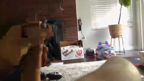 ryanbobby88 online show from September 27, 12:48 am