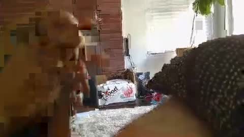 ryanbobby88 online show from September 28, 11:21 pm