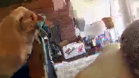ryanbobby88 online show from September 29, 9:08 pm