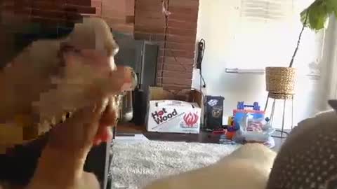 ryanbobby88 online show from October 1, 9:43 pm