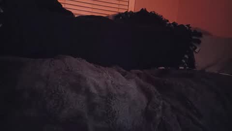 RFC666 online show from November 6, 7:09 am