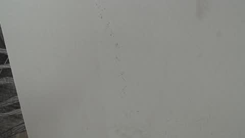 rylierouse online show from October 25, 5:51 pm