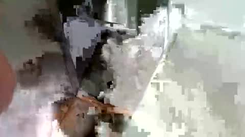 ryucravenmore online show from October 14, 3:35 pm