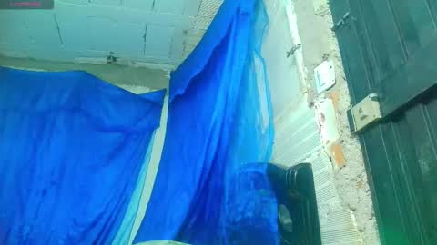 sofia online show from November 6, 7:04 pm