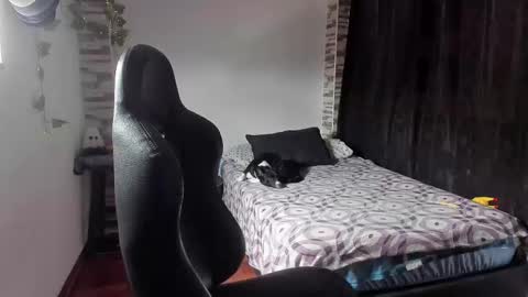 Danny online show from November 2, 2:19 pm