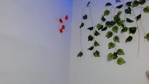 SABRI online show from April 10, 1:38 pm