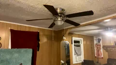 PupTwink online show from October 10, 2:10 am