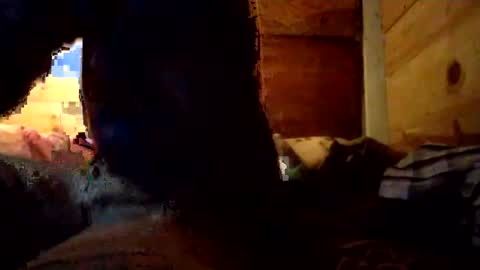 Penoso online show from December 14, 10:09 am