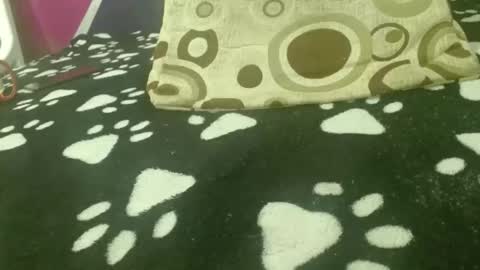 SAMANTHARUIZ18 online show from March 28, 4:06 pm