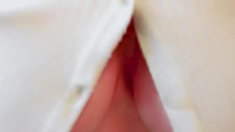 Snapshot of samantha_larusso_ chatting on October 17, 12:30 pm Andy online show from October 17, 12:30 pm