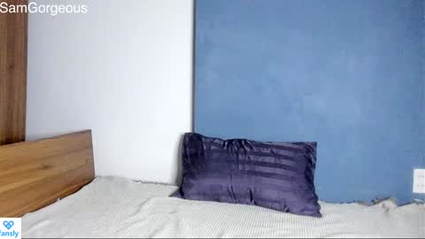 Snapshot of samgorgeous chatting on December 3, 8:17 pm Fansly - Top4fans online show from December 3, 8:17 pm