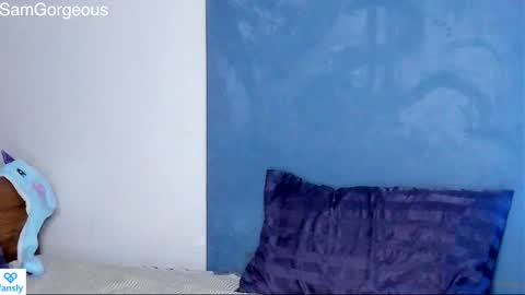 Snapshot of samgorgeous chatting on January 30, 3:29 pm Fansly - Top4fans online show from January 30, 3:29 pm