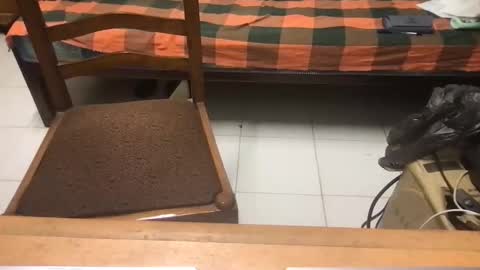 samhotbbc7 online show from October 19, 12:33 am