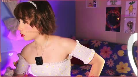 Sammy online show from November 19, 3:50 am