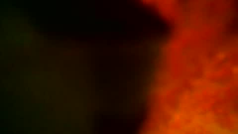 samueltal online show from October 14, 9:15 pm