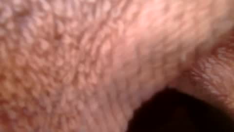 Snapshot of samueltal chatting on February 21, 9:21 am samueltal online show from February 21, 9:21 am