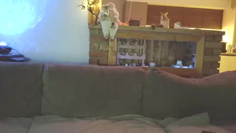 sanroom online show from December 2, 3:51 pm