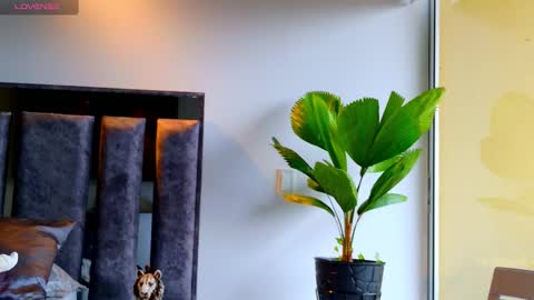 Santiago Seans online show from February 12, 1:28 pm