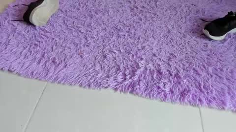 sarah  cinnamon online show from December 18, 6:58 pm