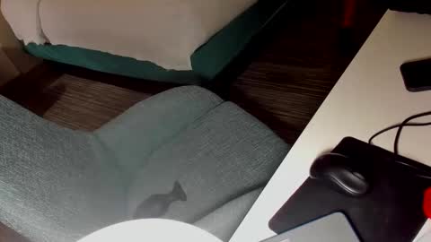 Sarah online show from December 13, 7:47 am